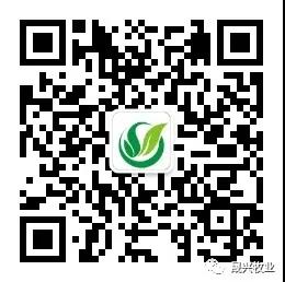 88858cc(Macau)޹˾