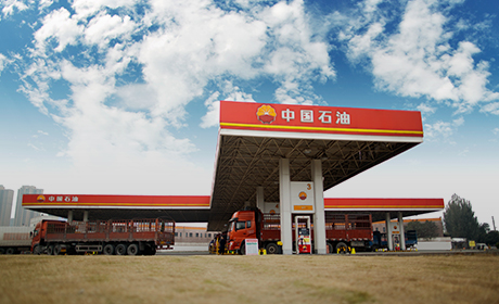 九五至尊VI-老品牌值得信任!